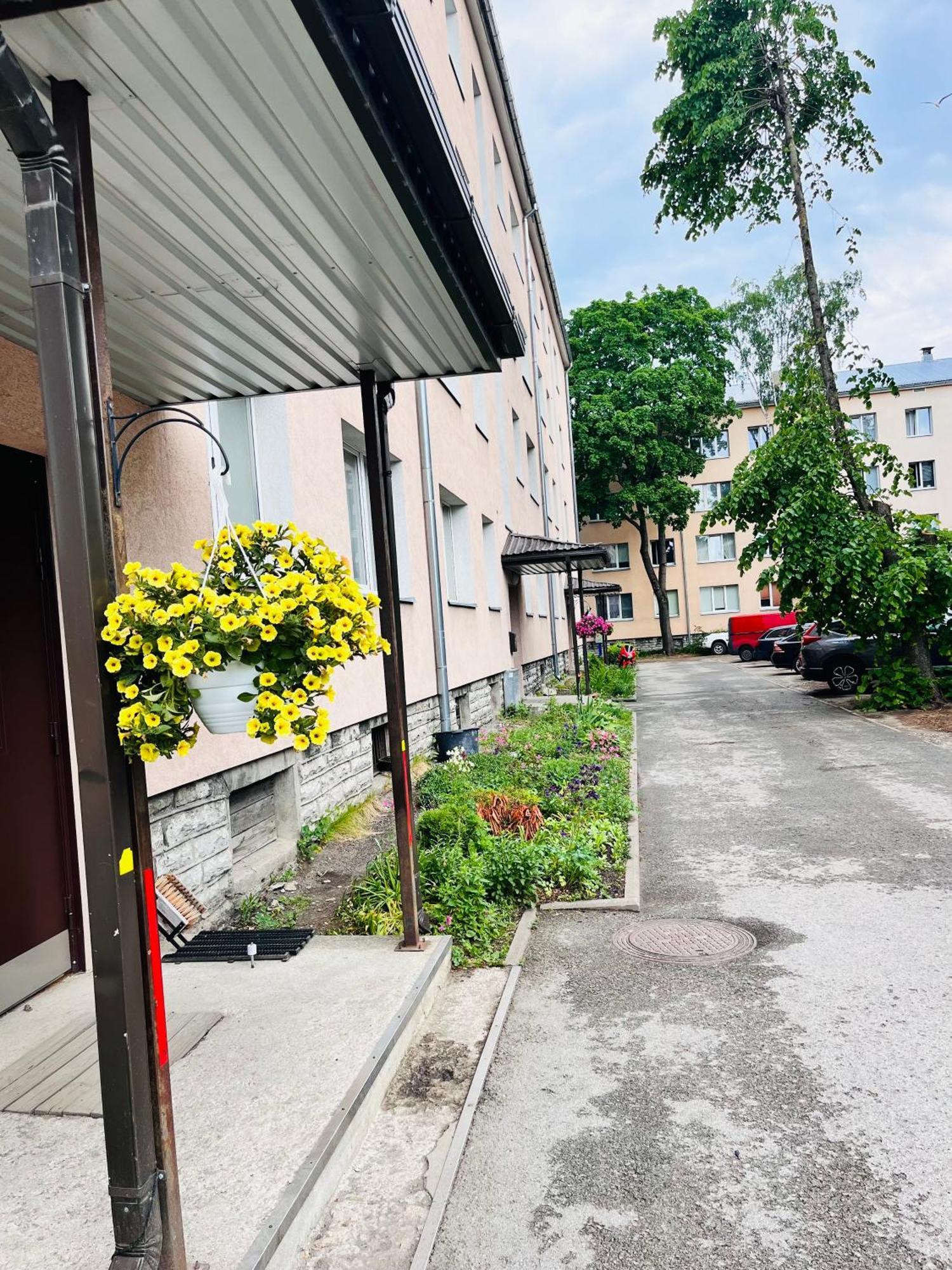 Tallinnhousing Studio For 4 With Free Parking Exterior photo